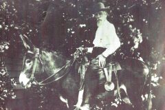 Dr. jerry Wells