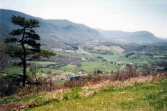 Powell Valley