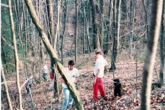 Red Fox Trail